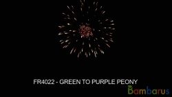 fr4022 GREEN TO PURPLE PEONY | фото №0