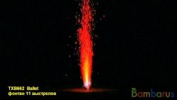 TXB662 BALLET | фото №0