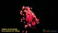 TXB644 COLOR PEONY | фото №0