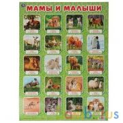 Мамы и малыши. Плакат А2. Умка в кор.50шт | фото №0