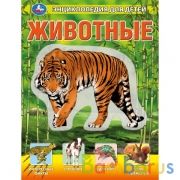 Животные, энцикл. для детей (с вставками из прозр. пленки) 230х300мм 10стр Умка в кор.20шт | фото №0