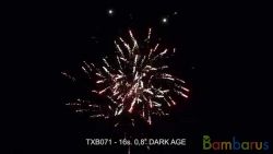 TXB071 DARK AGE | фото №0