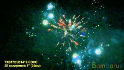 TXB172 COCO | фото №0