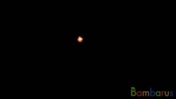 fr4048 RED HEARTS | фото №0