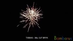 TXB043 BRYK | фото №0