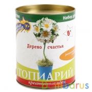 НАБОР ДЛЯ ТВОРЧЕСТВА ТОПИАРИЙ  МАЛЫЙ "РОМАШКИ" в кор.16шт | фото №0