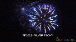 FD2022 ( Шар 2,5" )  SILVER PEONY | фото №0