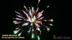 TXB646 MEADOW | фото №0