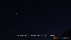 fr3046 (Шар 3") RED CHRYS. W/ COCO CORE | фото №0