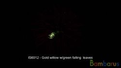 IS6012 Шар | фото №0