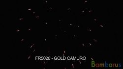 fr5020 GOLD CAMURO | фото №0