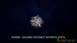 FD3056  (Шар 3") GOLDEN COCONUT W/CHRYS. | фото №0