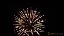 FD5029 GOLD CAMURO TO BLUE | фото №0