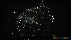 СБ-0164 Особенный день | фото №0