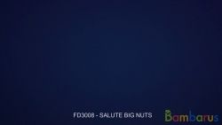 FD3008  (Шар 3") big nut 3 " | фото №0