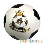 МЯЧ Д. 200ММ ЧЕМПИОН (ЧЕМПИОН) в кор.8шт | фото №0