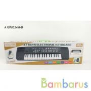 Электроорган (220v/на бат.) свет+звук, с микрофоном, usb з/у в кор. в кор.24шт | фото №0