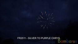 fr2511 ( Шар 2,5" ) SILVER TO PURPLE CHRYS. | фото №0