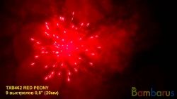 TXB462 RED PEONY | фото №0