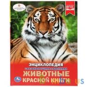 Животные красной книги. (Энциклопедия А4 с развивающими заданиями). 48 стр. Умка в кор.15шт | фото №0