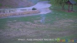 XP 4001 Фитильные Fuse cracker, 1 bang (уп-20) (1/60) (NEW) | фото №0