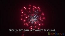 FD6012  RED, GREEN, BLUE DHALL | фото №0