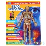 Тело человека, энциклопедия (с вставками из прозр. пленки) 230х300мм 10стр Умка в кор.20шт | фото №0