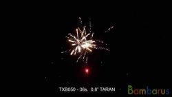 TXB050 TARAN | фото №0