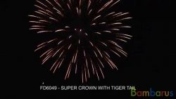 FD6049 SUPER CROWN WITH TIGER TAIL | фото №0