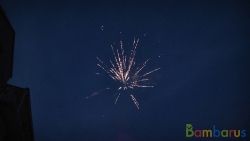 МБ-0361 36 | фото №0