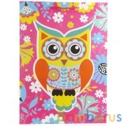 ПАКЕТ ПОДАРОЧНЫЙ "ИГРАЕМ ВМЕСТЕ" СОВЫ, 33Х46Х20СМ, ГЛЯНЦЕВЫЙ В ПАК. УП-12ШТ в кор.6уп | фото №0