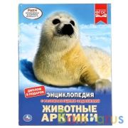 Животные Арктики. (Энциклопедия А4 с развивающими заданиями). 197х255мм. 48 стр. Умка в кор.15шт | фото №0