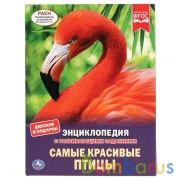 Самые красивые птицы. (Энциклопедия А4 с развивающими заданиями). 197х255мм. 48 стр. Умка в кор.15шт | фото №0