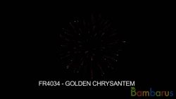 fr4034 GOLDEN CHRYS | фото №0