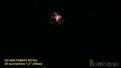 TXB093 ROYAL | фото №0