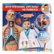 ИГРУШКА ОПЫТЫ "ИГРАЕМ ВМЕСТЕ": ВНУТРЕННИЕ ОРГАНЫ ЧЕЛОВЕКА В РУСС. КОР. в кор.96шт | фото №0