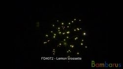 FD4072 LEMON CROSSETTE | фото №0