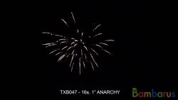 TXB047 ANARCHY | фото №0