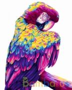 РИСОВАНИЕ ПО НОМЕРАМ НА ХОЛСТЕ, ПОПУГАЙ ПОП-АРТ, РАЗМЕР 40*50 в кор.22шт | фото №0