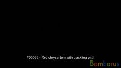 FD3063 (Шар 3") RED CHRYS W/CRACKLING PISTIL3" | фото №0