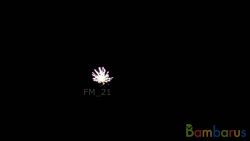 FD3045  (Шар 3") BROCADE CROWN W/GREEN STROB | фото №0