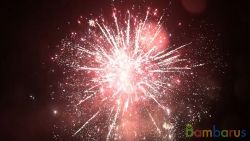 TXB870 BATERIA 1" | фото №0