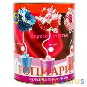 НАБОР ДЛЯ ТВОРЧЕСТВА ТОПИАРИЙ "ЧЕРНИЧНЫЙ БРИЗ" в кор.16шт | фото №0