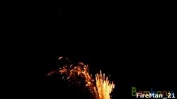 TXB404 V SILVER BOUQET | фото №0