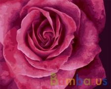 РИСОВАНИЕ ПО НОМЕРАМ НА ХОЛСТЕ, ПРЕКРАСНАЯ РОЗА, РАЗМЕР 40*50 в кор.22шт | фото №0