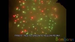 fr5015 RED TO GREEN TO YELLOW PEONY | фото №0