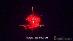 TXB072 FATUM | фото №0