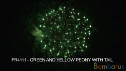 fr4111 GREEN YELLOW PEONY WITH TAIL | фото №0