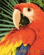 РИСОВАНИЕ ПО НОМЕРАМ НА ХОЛСТЕ, АРА, РАЗМЕР 40*50 в кор.22шт | фото №0