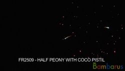 fr2509 ( Шар 2,5" ) HALF PEONY W/COCO PISTIL 2.5" | фото №0